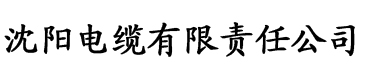 午夜福利1000集电缆厂logo